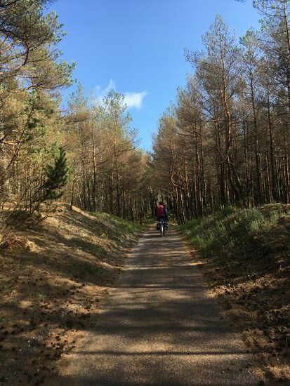 weiter auf fast menschenleerem Fahrradweg