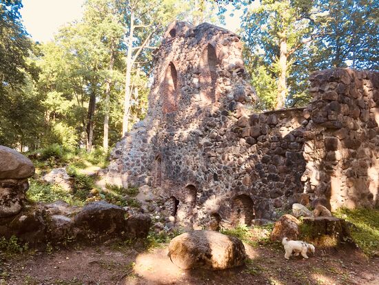 Ruine der Burg Krimulda, die 1231-1255 für den Bischoff von  Riga errichtet wurde und 1601 und von den Schweden zerstört wurde.