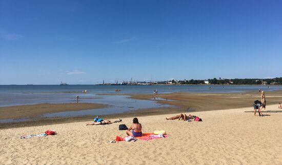 Hafen im Hintergrund, auf der anderen Seite ist das Kreuzfahrtschiffterminal, lustig, eine ehemalige Klassenkameradin ist gerade auch in Tallinn mit der Aida, puh alles richtig gemacht heute nicht in die Altstadt zu gehen ....da mehr als 1000 Besucher da sein werden