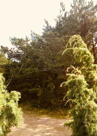 Puh, hätte ich beinahe ein Haarnetz gehabt 