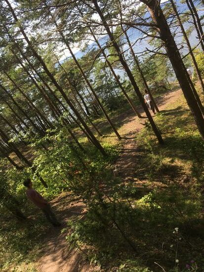 Wir gehen Richtung Abgrund