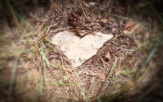 Überall Herzsteine, nur für mich 