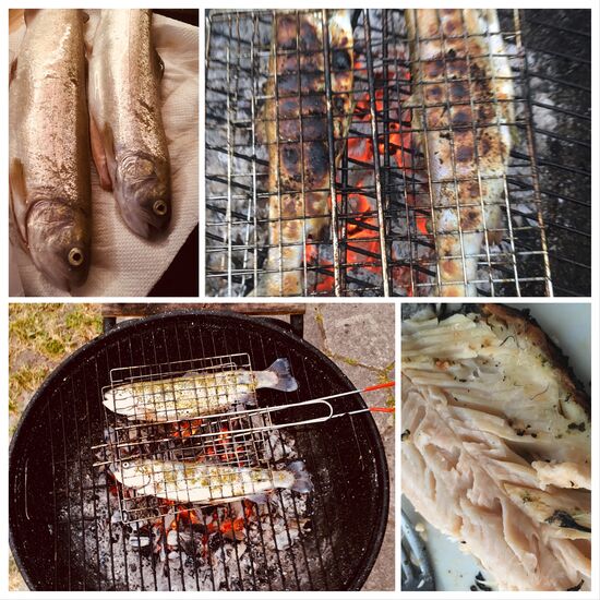 Zum Abschluss noch mal grillen... Forellen 4 Stück für 4€... Schnäppchen