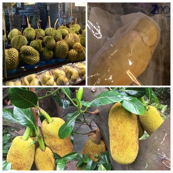 Durian , haben wir probiert, naja leicht komischer Geruch, schmeckt recht süß und cremig-breiig....