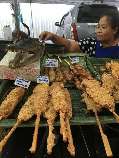 Krokodil nehmen wir aber ni