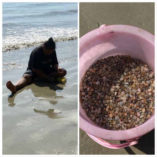 Ebbe beginnt und am Strand sehen wir eine Frau die im Sand gräbt... wir sind interessiert und gucken, es steht ein Eimer mit vielen ganz kleinen noch geschlossenen Muscheln.... ich kann mir nicht vorstellen, dass die essbar sind.... mmmh ....