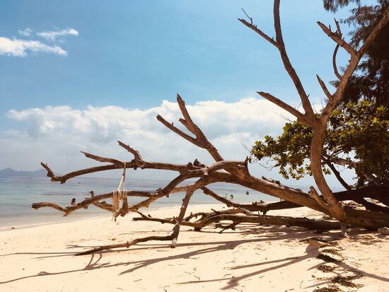 Mittagessen und Chillen...