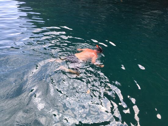 Viele schöne Fische, die absolut keine Angst haben