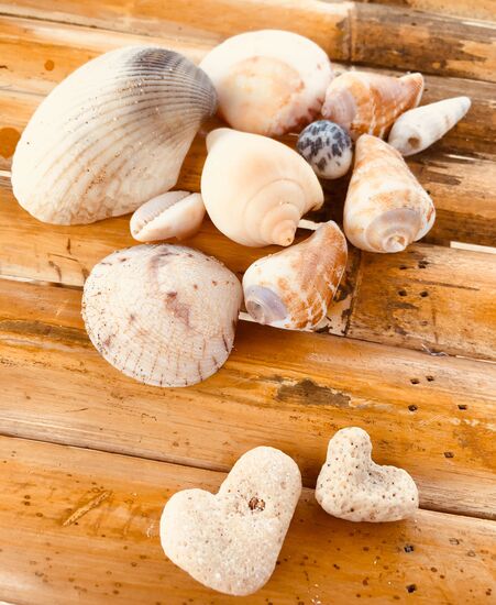 Schöne Muscheln und auch tolle Korallenteile, leider kann ich die ni mitnehmen, da Thailand ganz streng ist! Ich sammle lieber nicht weiter... was schwer fällt!!!
