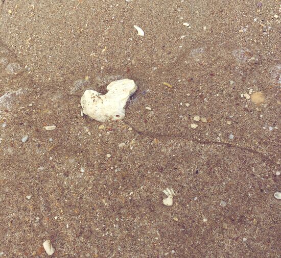 Wir gehen doch wieder an den Strand ...kleine Abkühlung im Meer ist nötig....