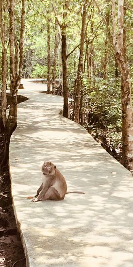 Kleiner Rundweg.... da sitzt schon wieder einer