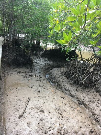 Alles schlammig und überall kleine Schlupflöcher