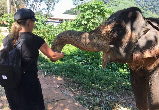 Die Haut fühlt sich rau fest und warm an....