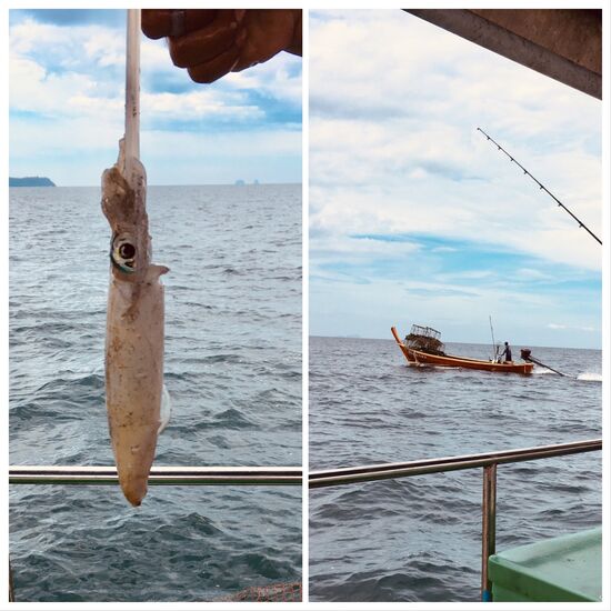 Tintenfisch wurde als Köder gebraucht, kurz einen vorbeifahrenden Fischer angequatscht und gg. eine Dose Cola getauscht 