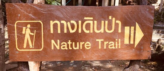 Ingo geht den Rundweg... mir ist es zu warm