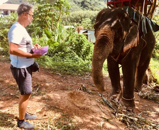 Unseren Elefanten fahren wir auch noch besuchen