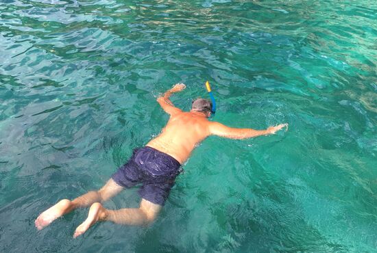 Viele Fische zum gucken