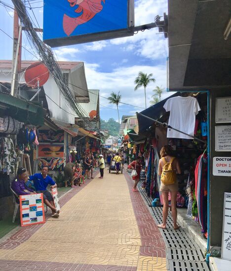 Auf dem Rückweg den Doktorfisch entdeckt