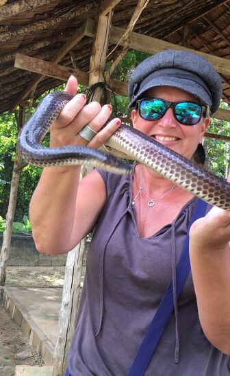 Die ist niedlich, ernährt sich nur von Ameisen, beißt ni, die Ameisen werden über die Zunge aufgenommen