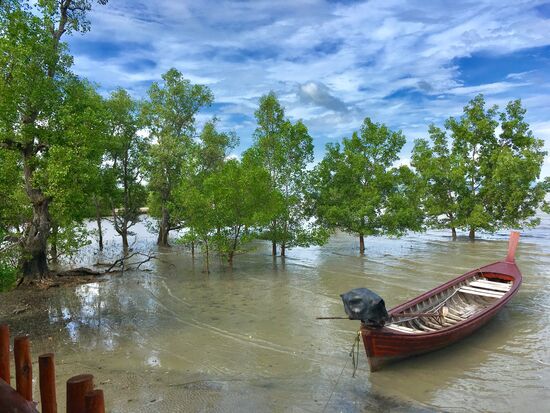 Alle Restaurants auf Stelzen ins Wasser gebaut.... Ausblick