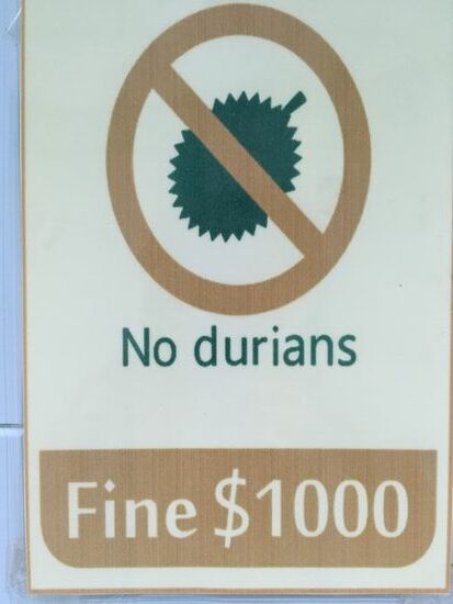 Schild im Hotel.... frische Durian darf man nicht mitbringen... 