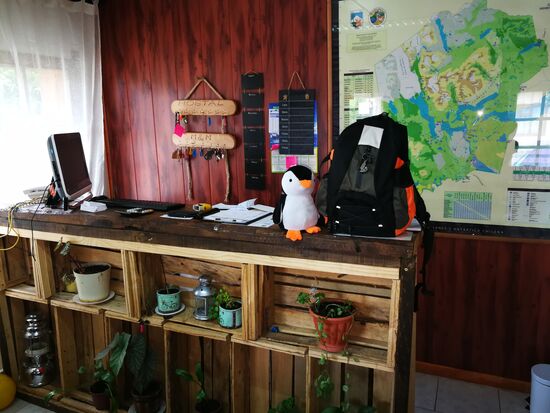 Mein Rucksack hat gleich einen neuen Freund gefunden! Wie ähnlich sie sich doch sehen.... 