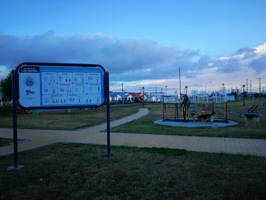 Outdoor-Training mit tierischer Begleitung