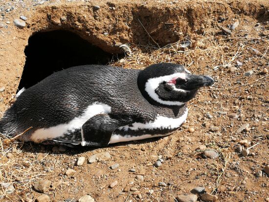 … aber Sonnenbaden!