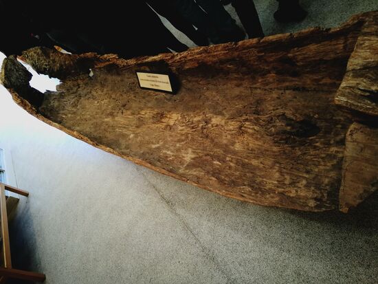 ein Einbaum - die Boote der Selk'nam.