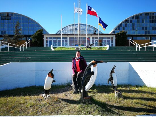 Wer den Königspinguinen nicht so nahe kam, musste halt mit solchen Skulpturen vorlieb nehmen. Diese hier sind aus Autoreifen.
