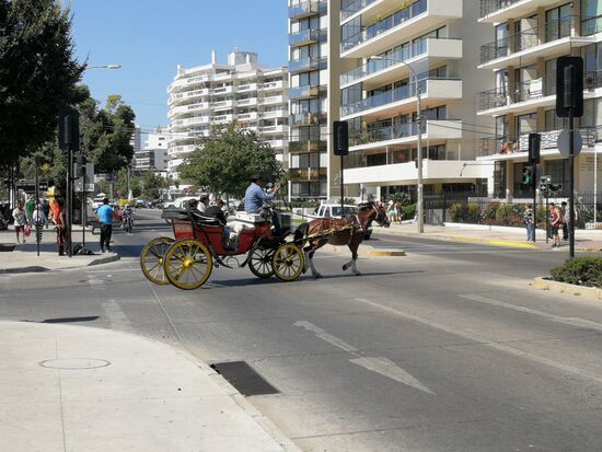 Fiaker - hier weht ein Hauch Wien durch Chile.