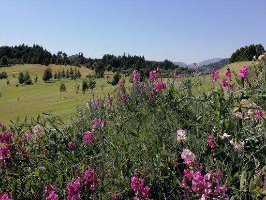 Landschaft fürs Handicap: Ein wunderschöner Golfplatz unweit von Bariloche