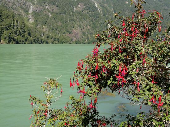 Am Porto Allegro leuchtete das Wasser, wohl aufgrund des Mineraliengehaltes, wundersam hellgrün.