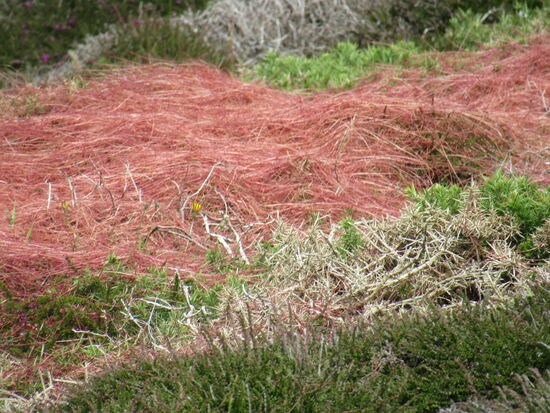 Lands End und Küste