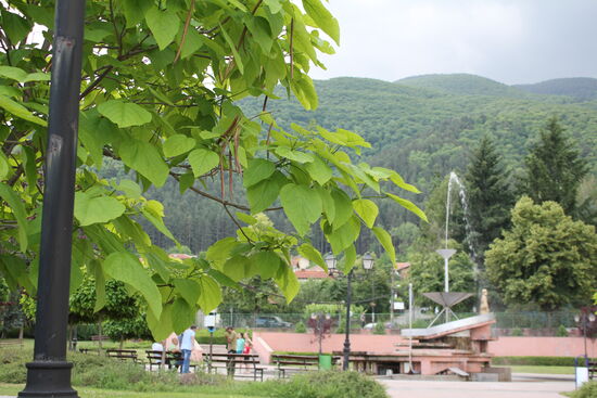 Geysir in Separeva Banja