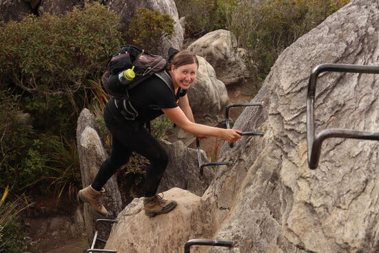 Pinnacle Summit