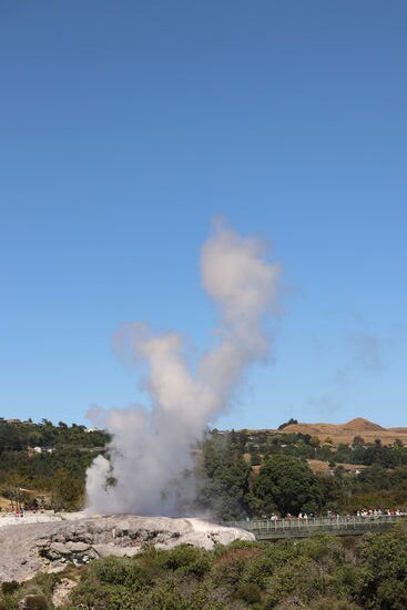 Geysir in Whakarewarewa