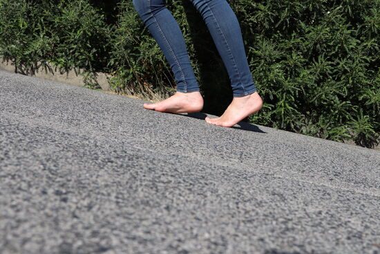 Baldwin Street, Dunedin - Die steilste Straße der Welt