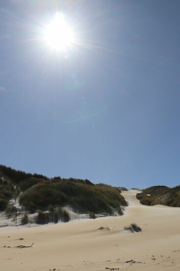 Sandfly Bay
