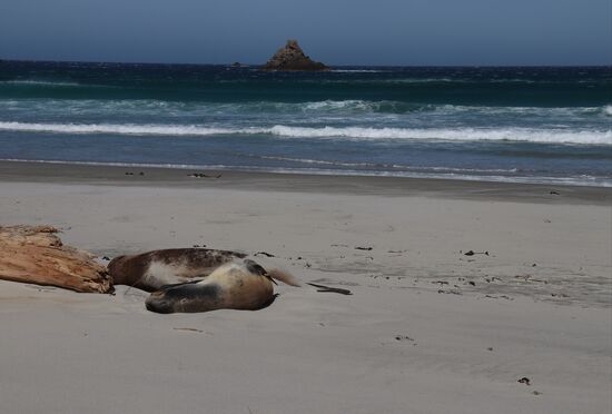 Sandfly Bay - sooooooo gemütlich!