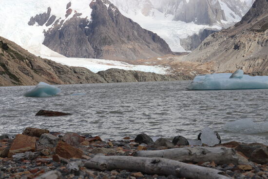Eisige Zeiten an der Laguna Torre