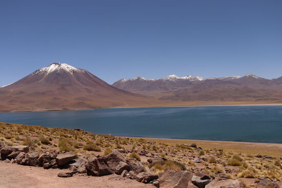 Lagunas Altiplánicas