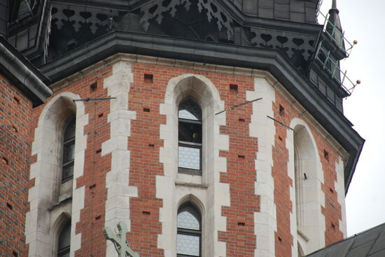 Aus diesem Fenster bläst zu jeder vollen Stunde ein Feuerwehrmann seine fünf Töne.