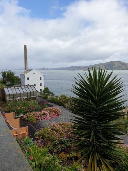 Alcatraz Island