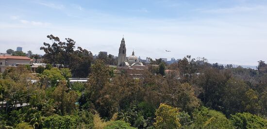 Ausblick aus der Gondel über den Zoo auf den Balboa Park