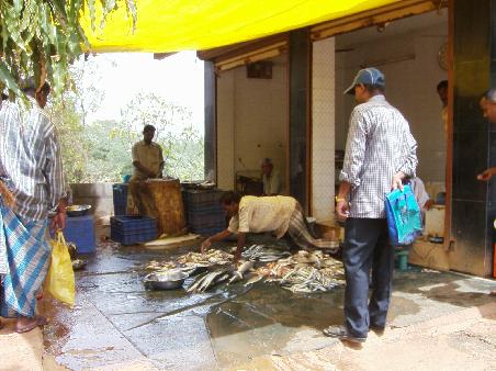 Fischmarkt in Tamil Nadu