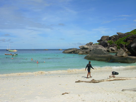 Similans