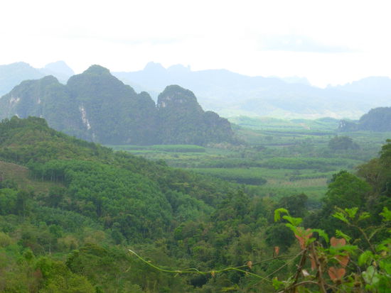 Khao Sok