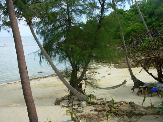auch unser Strand... Coconut Beach