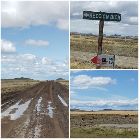 Hier müssen wir richtig sein.....seccion dick!